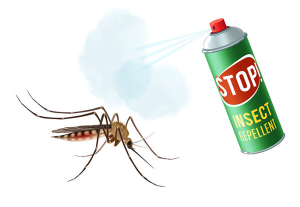 mosquito-2