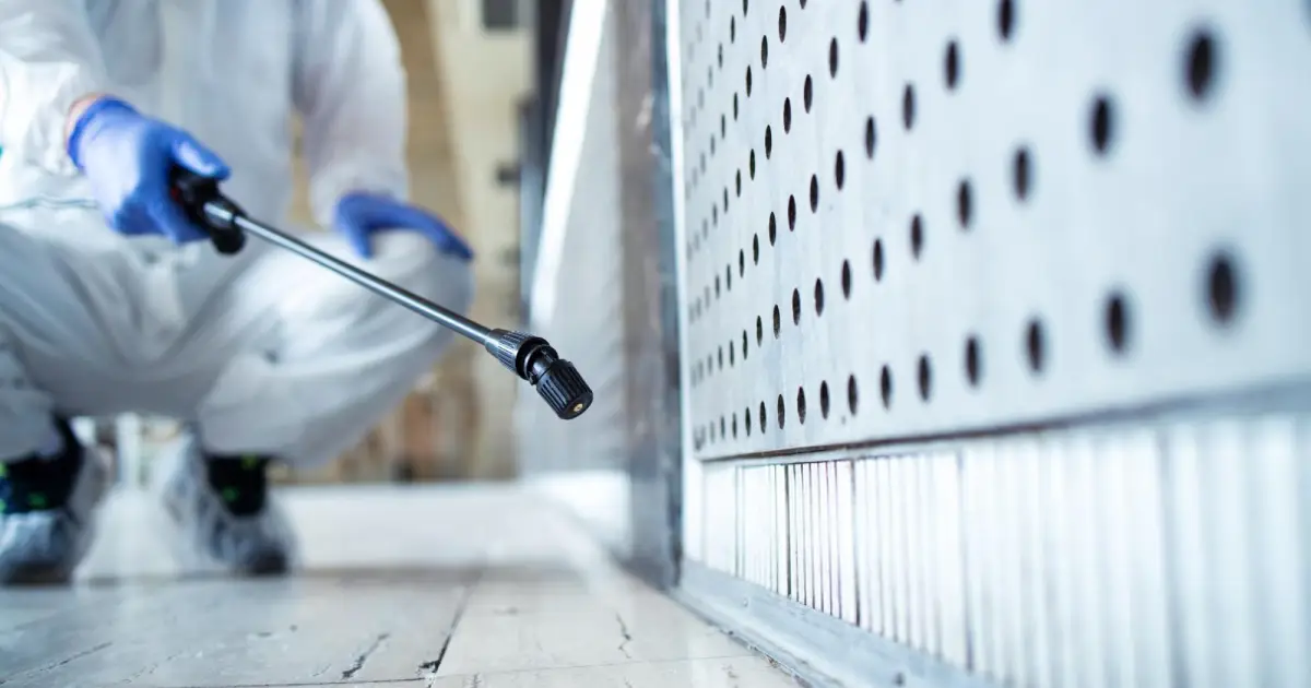 Eco-Friendly Pest Control Options Every Homeowner Should Know