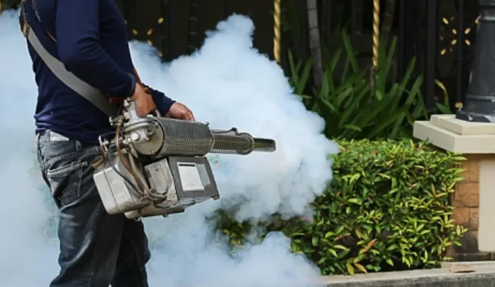 9 Ways To Eliminate Mosquitoes From Home