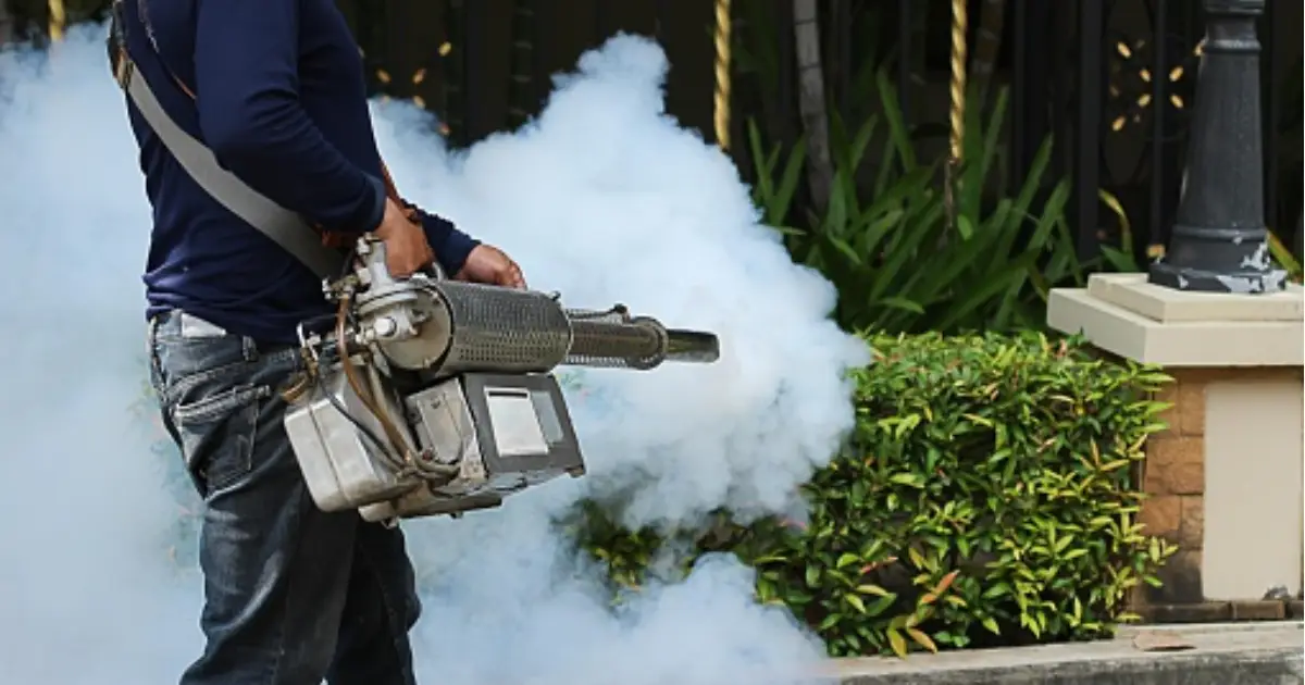 9 Ways To Eliminate Mosquitoes From Home
