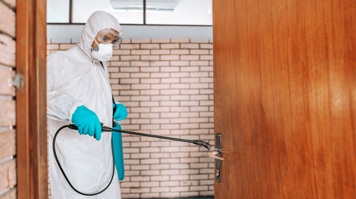 How to Find the Best Pest Control Service in Dubai