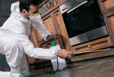 Maintaining Food Safety in Restaurants