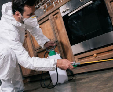 Maintaining Food Safety in Restaurants