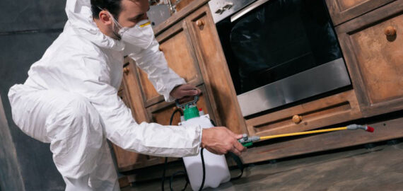 Maintaining Food Safety in Restaurants