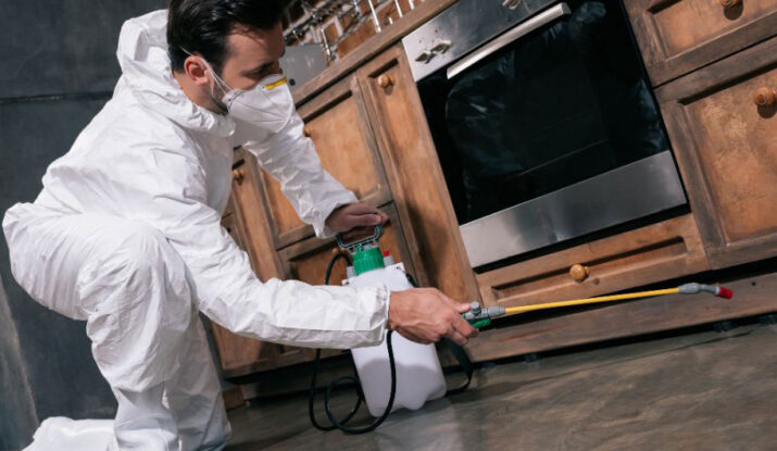 Maintaining Food Safety in Restaurants