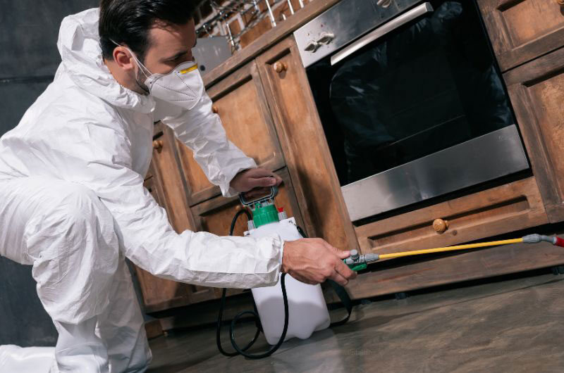 Maintaining Food Safety in Restaurants