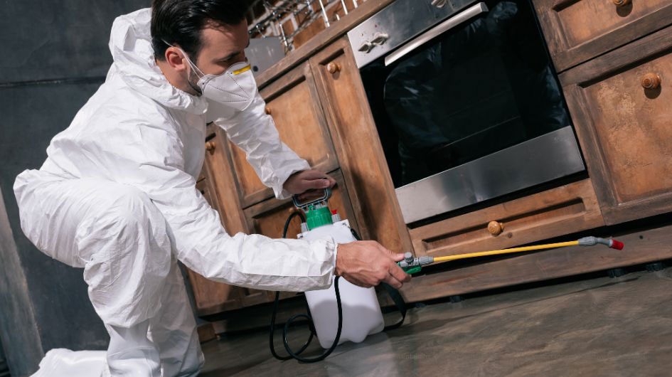 Maintaining Food Safety in Restaurants
