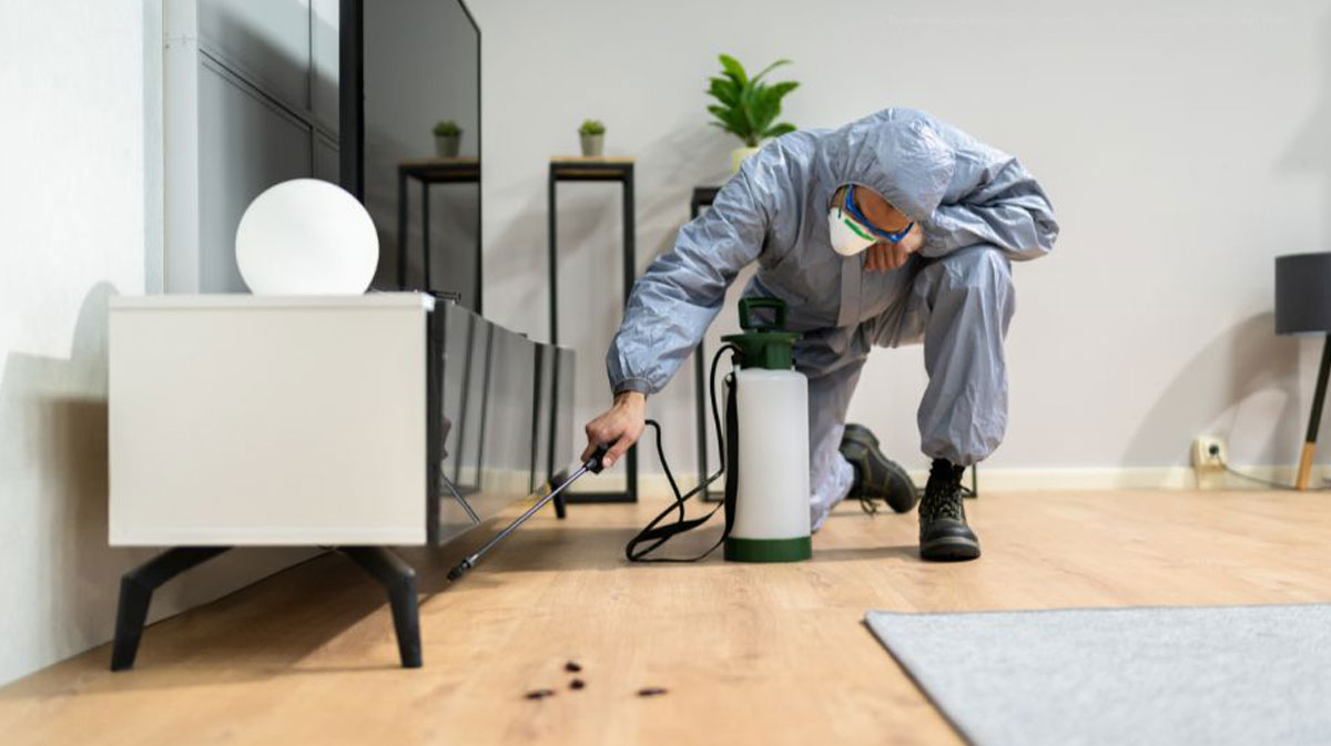 Preventative Pest Control