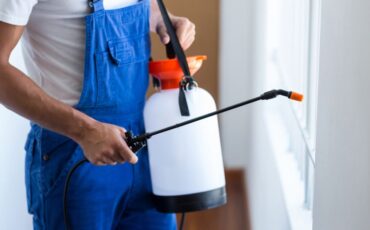 Protecting Office Spaces from Pests