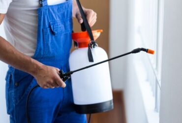 Protecting Office Spaces from Pests