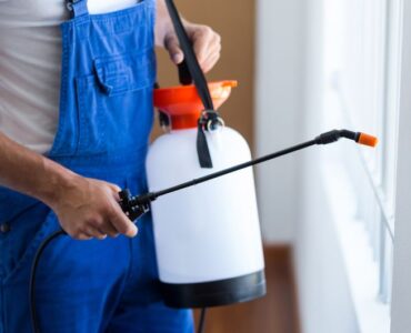 Protecting Office Spaces from Pests