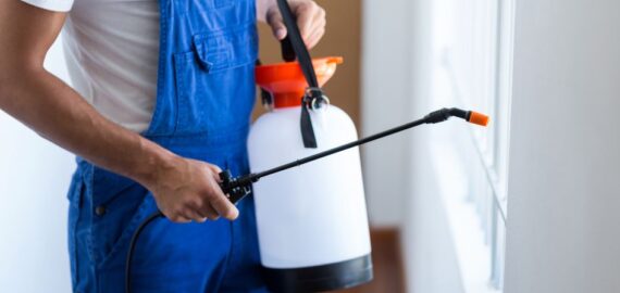 Protecting Office Spaces from Pests