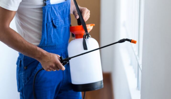 Protecting Office Spaces from Pests