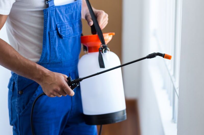 Protecting Office Spaces from Pests