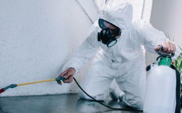 Residential and Commercial Pest Control: What You Need to Know
