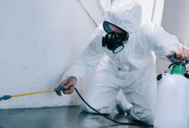 Residential and Commercial Pest Control: What You Need to Know