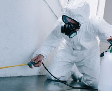 Residential and Commercial Pest Control: What You Need to Know