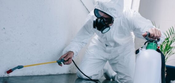 Residential and Commercial Pest Control: What You Need to Know