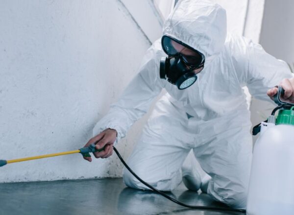 Residential and Commercial Pest Control: What You Need to Know