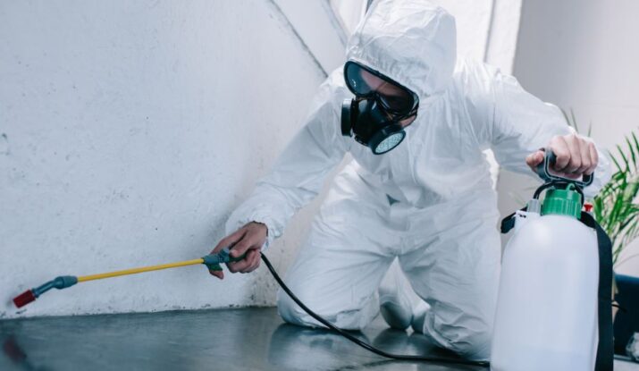 Residential and Commercial Pest Control: What You Need to Know
