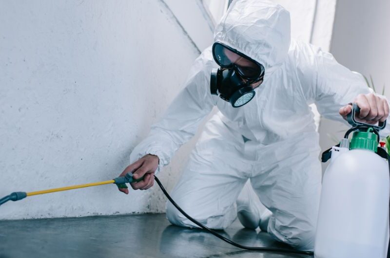 Residential and Commercial Pest Control: What You Need to Know